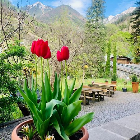 Caines Tannerhof Bed & Breakfast מראה חיצוני תמונה