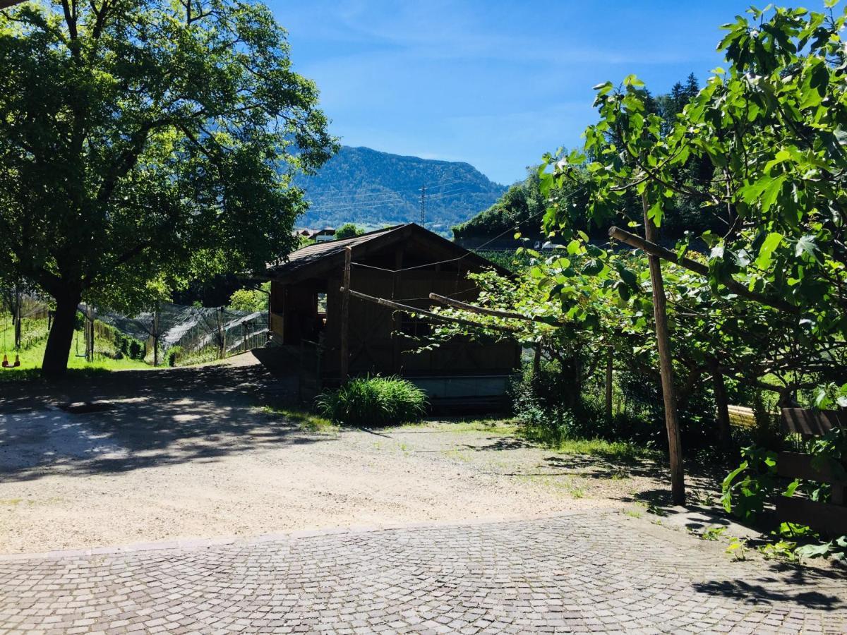 Caines Tannerhof Bed & Breakfast מראה חיצוני תמונה