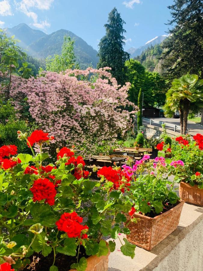 Caines Tannerhof Bed & Breakfast מראה חיצוני תמונה