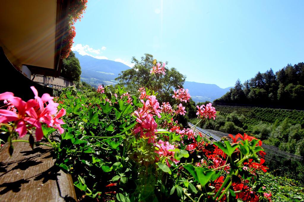 Caines Tannerhof Bed & Breakfast חדר תמונה