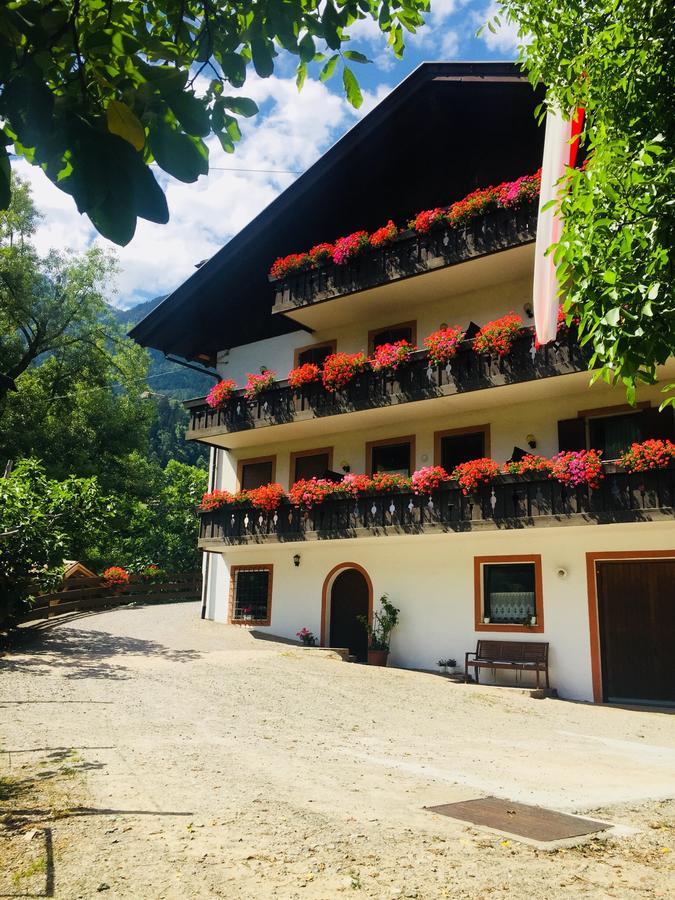 Caines Tannerhof Bed & Breakfast מראה חיצוני תמונה